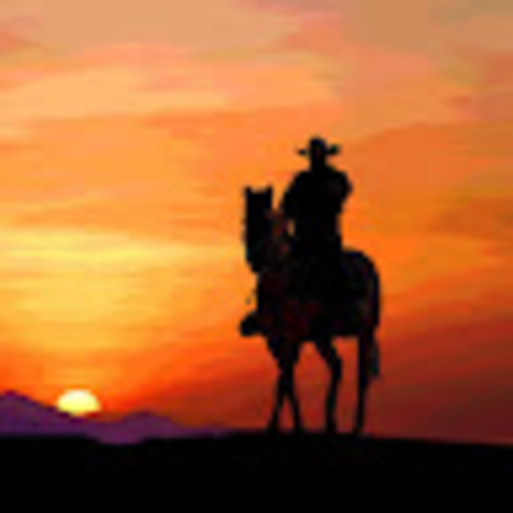Meet your Posher, Texas